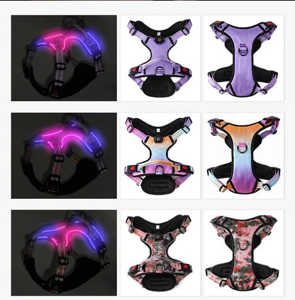 LED Dog Harness with 2 Leash Clips, Adjustable Soft Padded Dog Vest SIMPLY LED