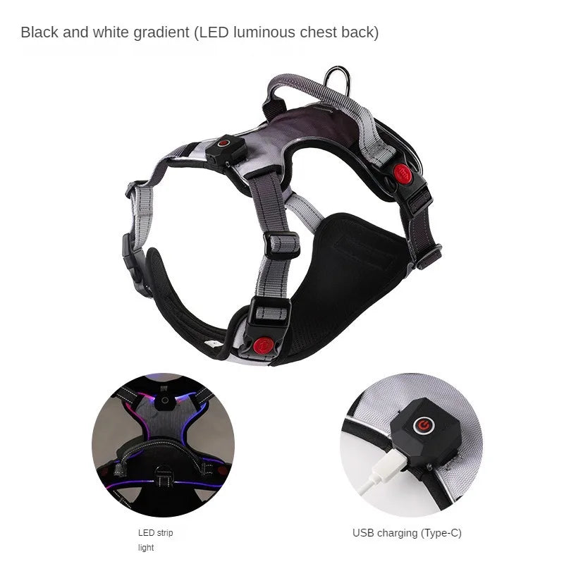 LED Dog Harness with 2 Leash Clips, Adjustable Soft Padded Dog Vest SIMPLY LED