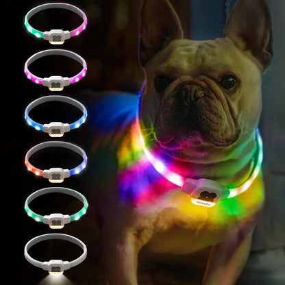 LED Dog Collar with USB Rechargeable Glow in The Dark Waterproof Dog Necklace SIMPLY LED