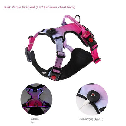 LED Dog Harness with 2 Leash Clips, Adjustable Soft Padded Dog Vest SIMPLY LED