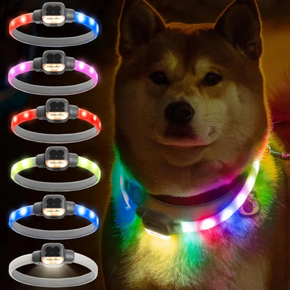 LED Dog Collar with USB Rechargeable Glow in The Dark Waterproof Dog Necklace SIMPLY LED