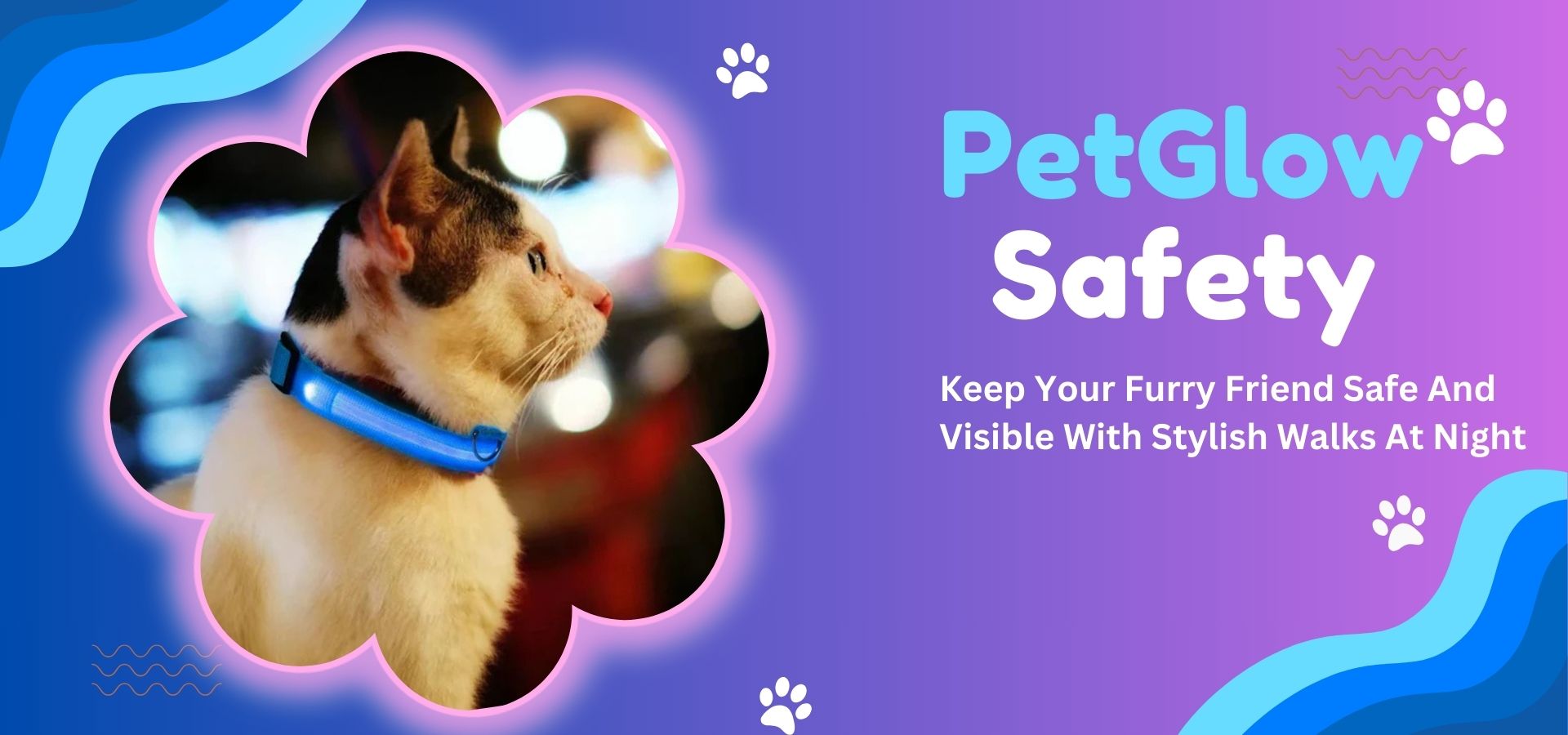 pet glow safety