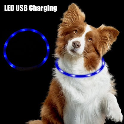 Led USB Night Safety Flashing Glow Pet Collar SIMPLY LED